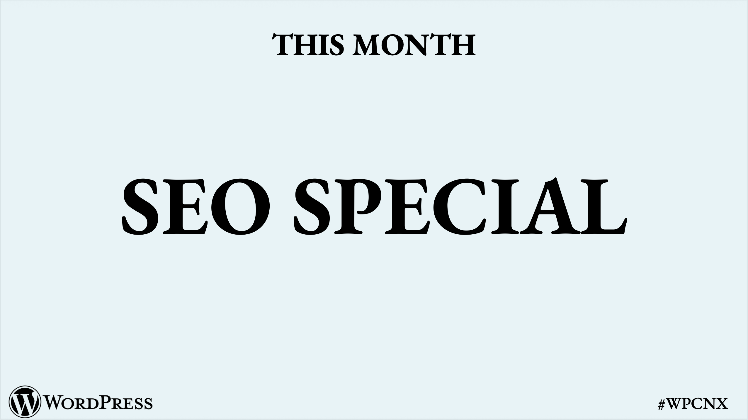 SEO Special (July 2025)